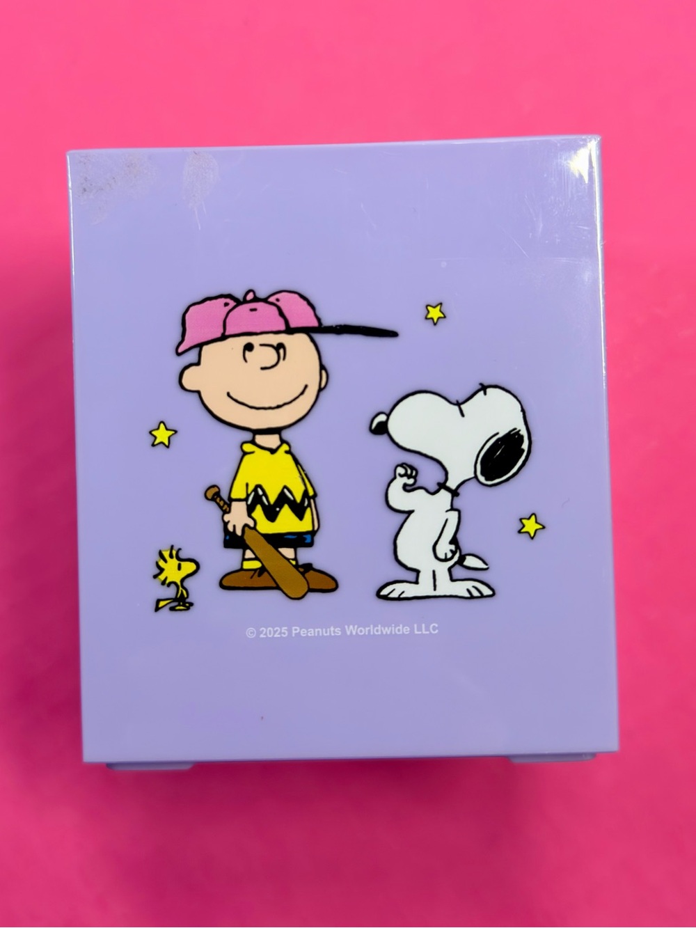 Peanuts Purple Snoopy & Charlie Brown Pencil/Pen Holder